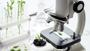 Tax Lease e innovación en biotecnología