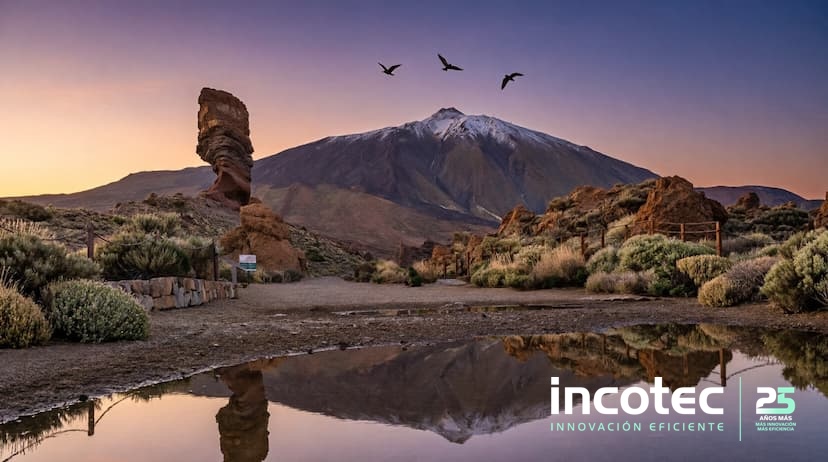 tax lease tenerife