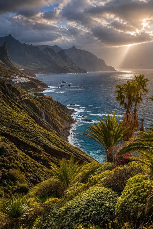 consultora CAES tenerife