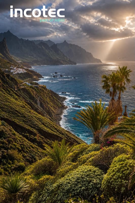 Consultora Gestion ayudas publicas tenerife