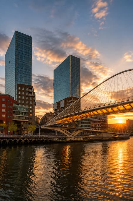 Gestión Ayudas Públicas Bilbao